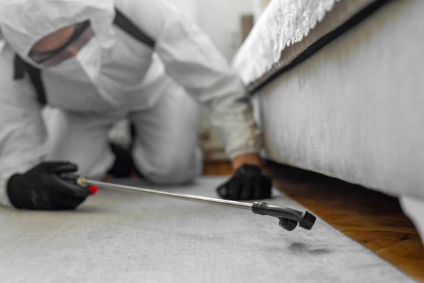 Professional Pest Control technician working in Amelia County County, VA